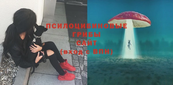 альфа пвп Горно-Алтайск