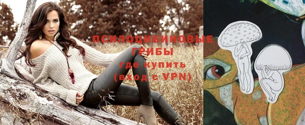 прущие крисы Горнозаводск