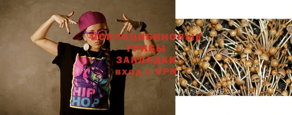 альфа пвп Горно-Алтайск
