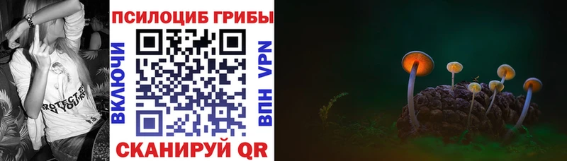 Псилоцибиновые грибы Psilocybine cubensis  Нефтеюганск 